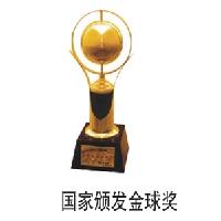 国家颁发金球奖